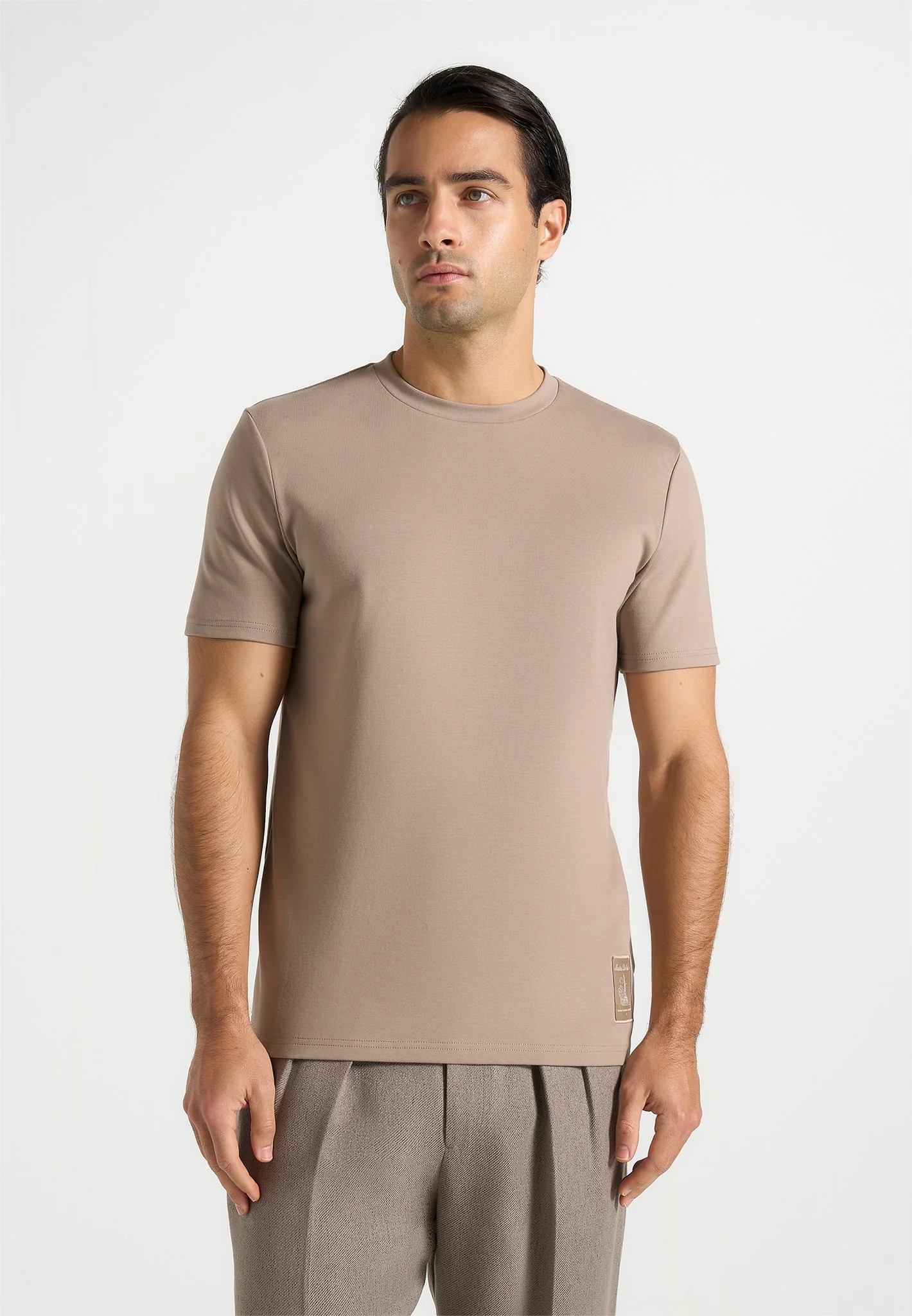 TS002 - Regular Fit Cotton T-Shirt - Taupe - Image 3